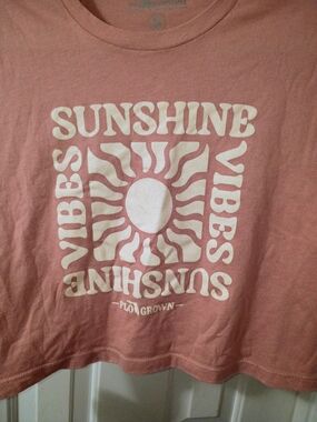 Sunshine Vibes Cropped Graphic Tee - Dusty Pink
